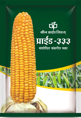 PRIDE-333