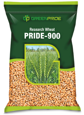 PRIDE-900